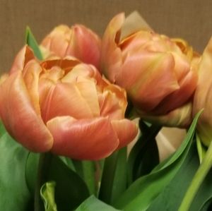 Meet your Posher, Marlana